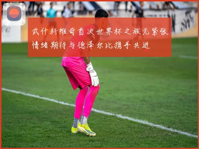 武什科维奇首次世界杯之旅无紧张情绪期待与德泽尔比携手共进
